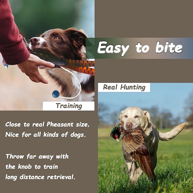 2 Pcs Pheasant Dummy Bumper Toy for Hunting Retriever Dog Training, Hunting Duck Recognition Trainers, Tetriever Interactive Training Toys, Foam Pet Dog Interactive Toys