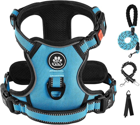 IVY&LANE No Pull Dog Harness for Small Dogs, Dog Vest Harness with Leash, Safety Belt and Storage Strap, Fully Adjustable Harness, 360?Reflective Strip, Soft Handle (Blue, S)