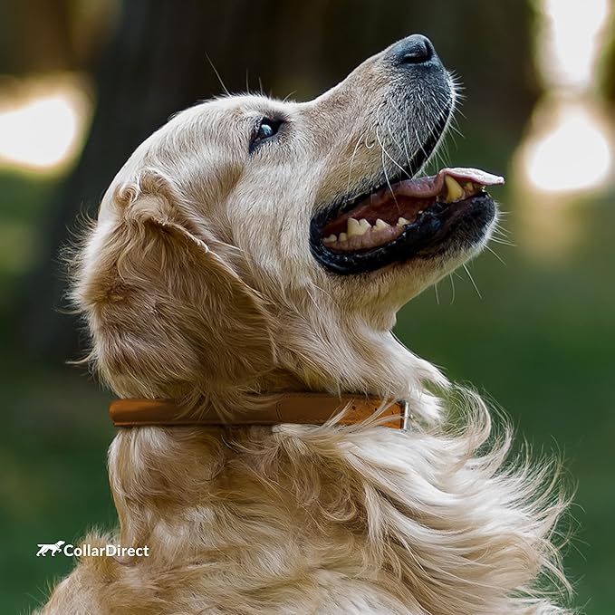 CollarDirect Rolled Leather Dog Collar, Soft Padded Round Puppy Collar, Handmade Genuine Leather Collar Dog Small Large Cat Collars 13 Colors (13-16 Inch, Cinnamon Textured)