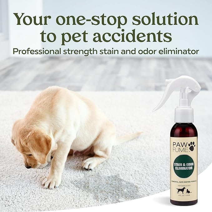 PAWFUME Stain & Pet Urine Odor Eliminator, 4-Pack – Removes Impurities in Seconds – Enzymatic Formula, Quick-Dry Action, & Eco-Friendly Ingredients – Upholstery, Fabrics, and Carpet Cleaner Spray
