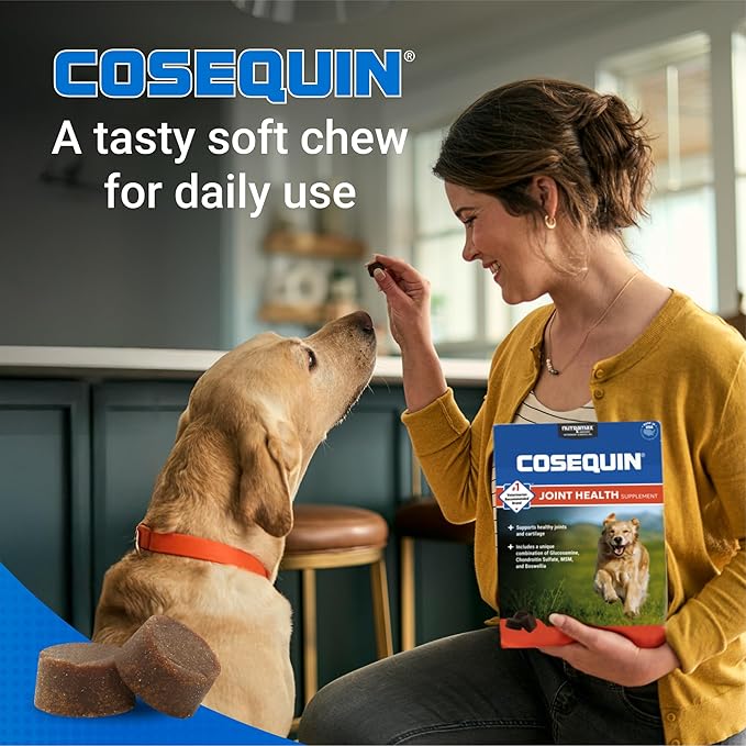 Nutramax Laboratories Cosequin DS Plus MSM Professional Line for Dogs, 60 soft chews