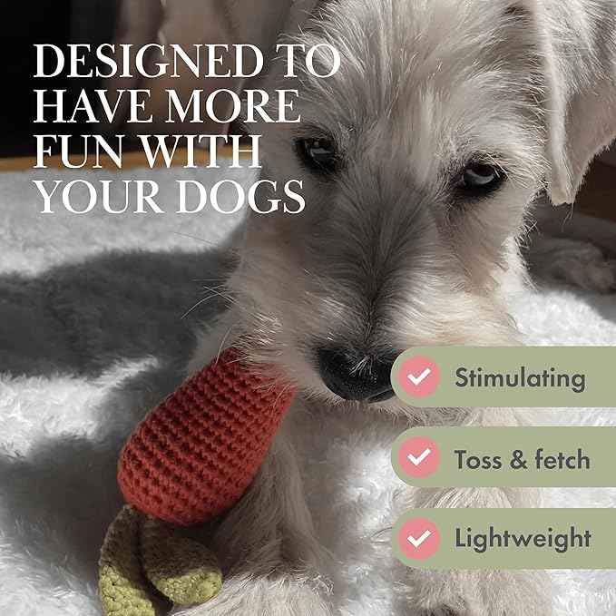 Nina Woof Organic Cotton Dog Toys Pack – Handmade Squeaky Plush Puppy Toys for Small and Medium Dogs, Eco Friendly Teething Accessories, Natural Pet Gift Set with Cute Fruit and Veggie Designs