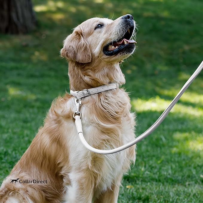 CollarDirect Rolled Leather Dog Collar, Soft Padded Round Puppy Collar, Handmade Genuine Leather Collar Dog Small Large Cat Collars 13 Colors (18-22 Inch, White Textured)