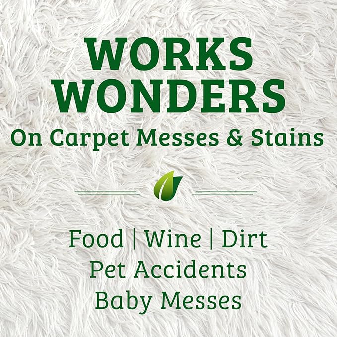 Biokleen Bac-Out Carpet Stain Remover Enzymatic, Destroys Stains & Odors Safely, for Pet Urine, Laundry, Diapers, Wine, Carpets, More, Eco-Friendly, Plant-Based