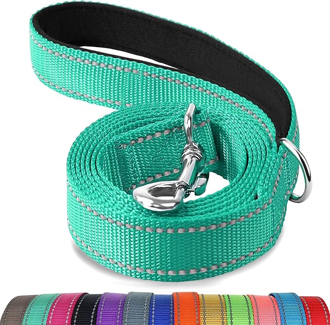 Joytale Double-Sided Reflective Dog Leash, 6 FT/5 FT/4 FT, Padded Handle Nylon Heavy Duty Leashes for Small & Medium Dogs Walking, Teal, 5FT