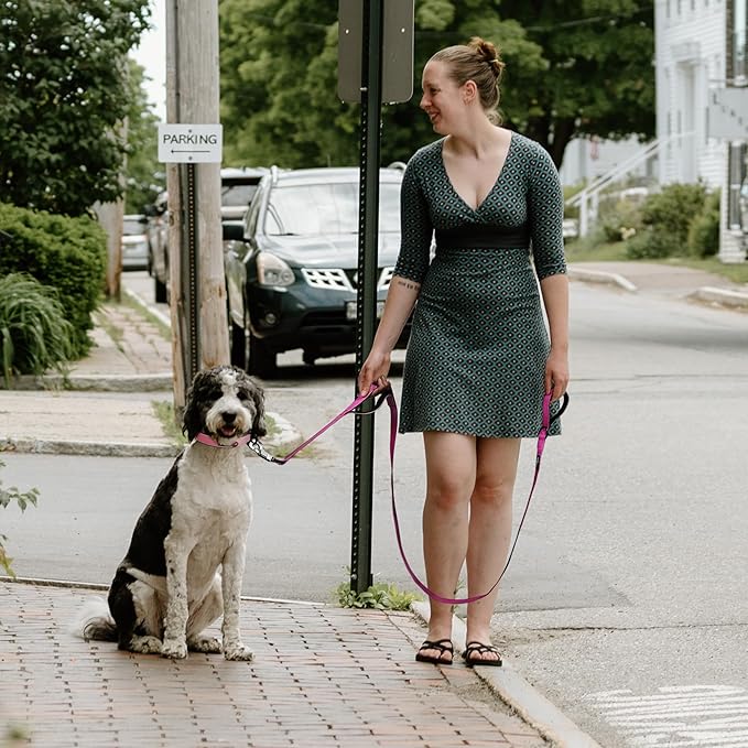 Fida 5 FT Heavy Duty Dog Leash with 2 Comfortable Padded Handles, Traffic Handle & Advanced Easy Snap Hook, Reflective Walking Lead for Large, Medium & Small Breed Dogs, Rose