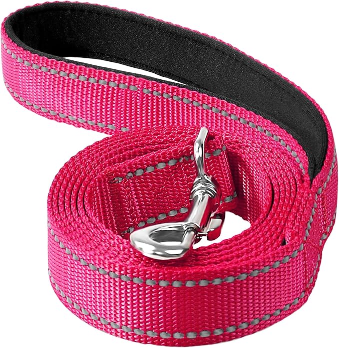 6FT Reflective Nylon Dog Leash with Soft Padded Handle for Walking, Running and Training, Supports Small Medium and Large Dogs (Hotpink, 3/4Inch Wide)