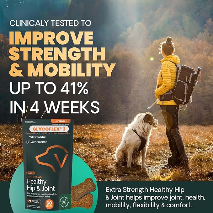 VetriScience Extra Strength Hip & Joint Supplement for Dogs, GlycoFlex 3 –Vet Formulated Glucosamine, MSM & Green-Lipped Mussel Chews for Mobility, Flexibility & Joint Support, Chicken Flavor, 60ct