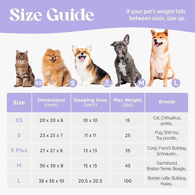 LE SURE Donut Small Dog Bed - Round Cat Beds for Indoor Cats Anti-Anxiety Calming Gift for Pets, Washable Cute Modern Beds with Jacquard Shaggy Plush & Anti Slip Bottom, 23 Inch, Pink Taffy