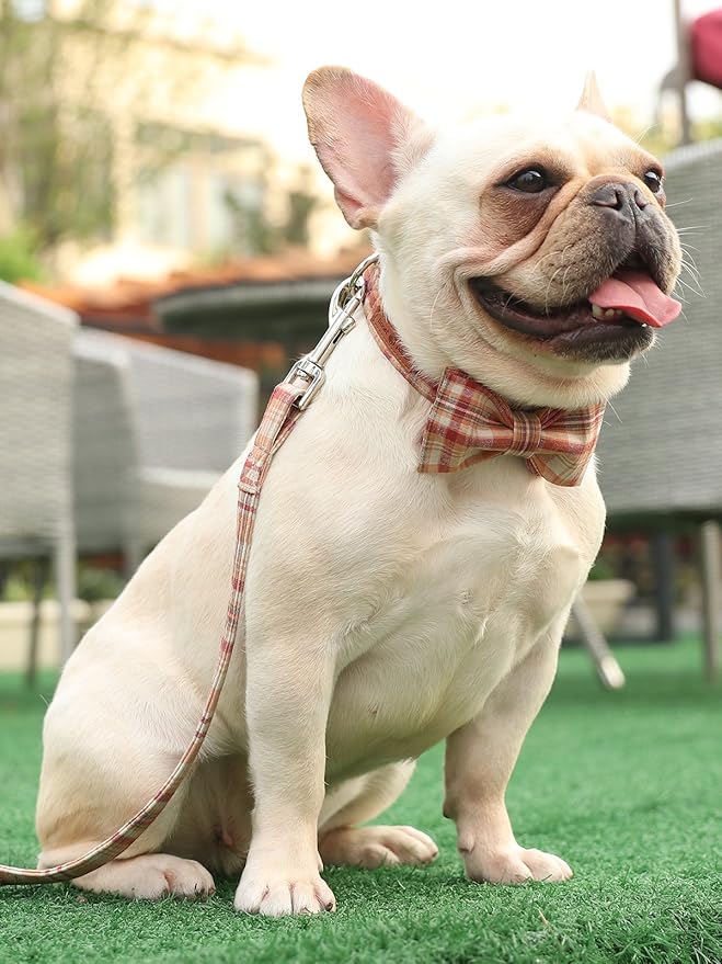 Lionet Paws Dog and Cat Collar with Bowtie Grid Collar Plastic Buckle Light Adjustable Collars for Small Medium Large Dogs