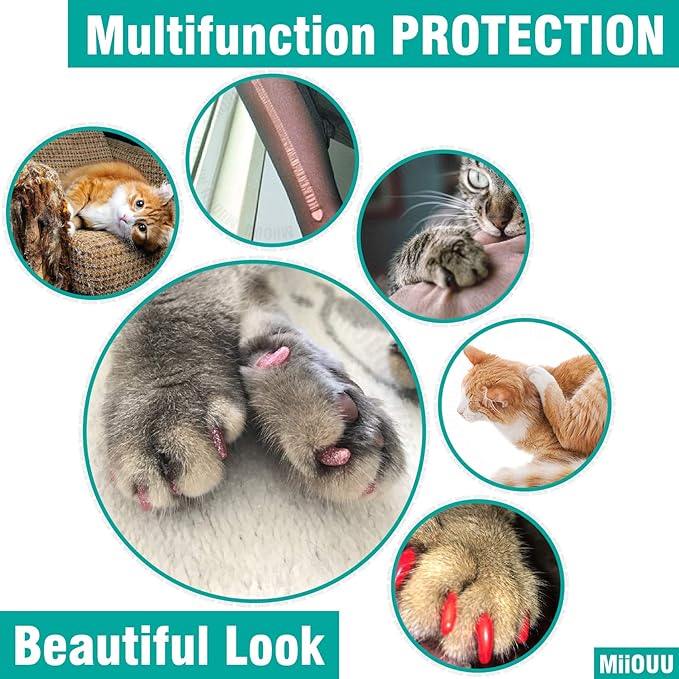 100 pcs Cat Nail Caps | Cat Claw Covers with Adhesives and Applicators | Black (L)