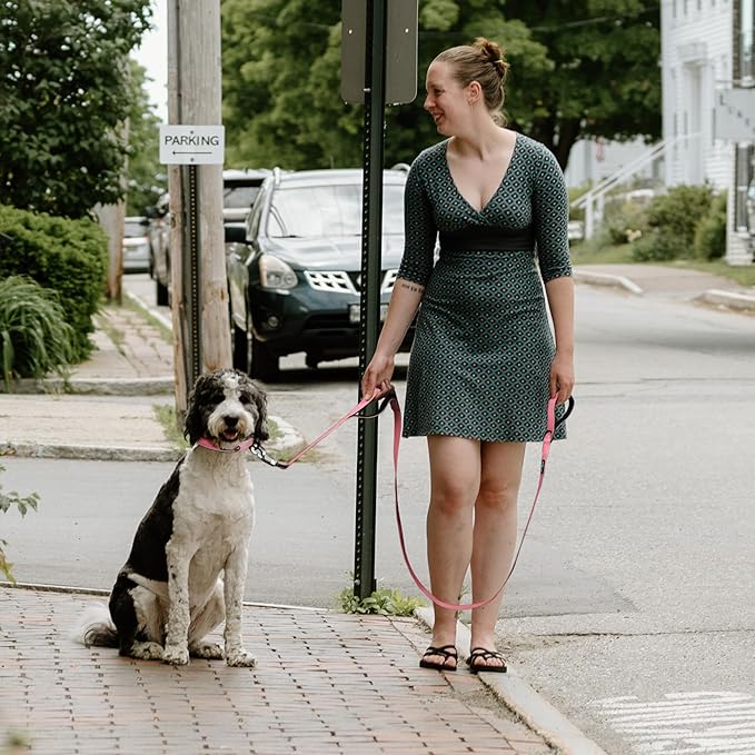 Fida 5 FT Heavy Duty Dog Leash with 2 Comfortable Padded Handles, Traffic Handle & Advanced Easy Snap Hook, Reflective Walking Lead for Large, Medium & Small Breed Dogs, Pink