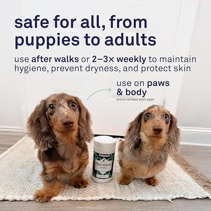 Petpost Large Paw Wipes for Dogs | 70 Count Dog Paw Cleaner Wipes with Coconut Oil, Jojoba Oil & Aloe | Gentle Pet Wipes for Paws | Ultra Soft Cotton Pads, Cherry Blossom Scent