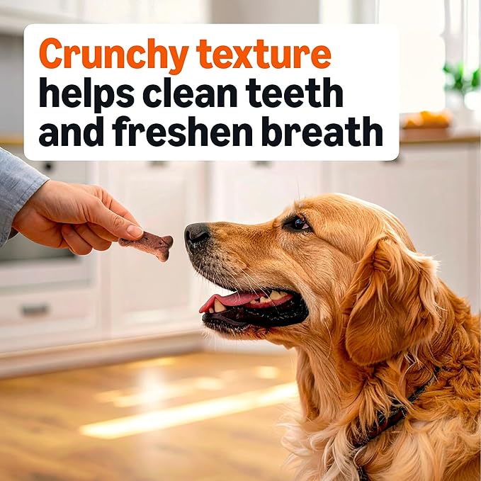 Amazon Basics Gravy Basted Flavor Biscuits Dog Treats 5 lb. Box