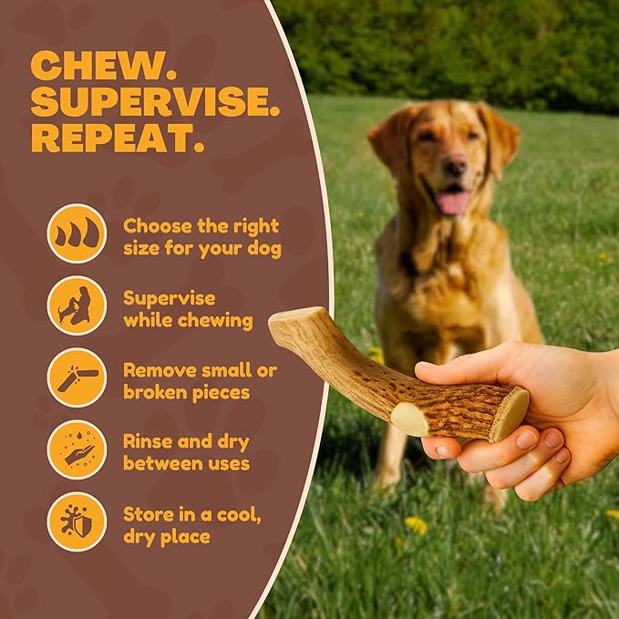 WhiteTail Naturals - Deer Antlers for Large Dogs - Long Lasting Antler Dog Chews - Crafted in USA, Naturally Shed Antler Dog Bones for Aggressive Chewers (Large (Pack of 1))