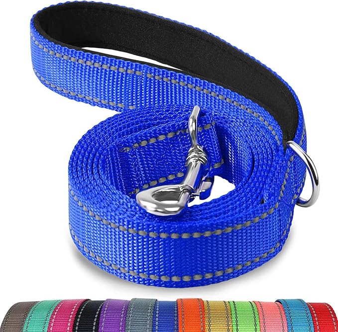 Joytale Double-Sided Reflective Dog Leash, 4 FT, Padded Handle Nylon Heavy Duty Leashes for Small & Medium Dogs Walking, Navy Blue