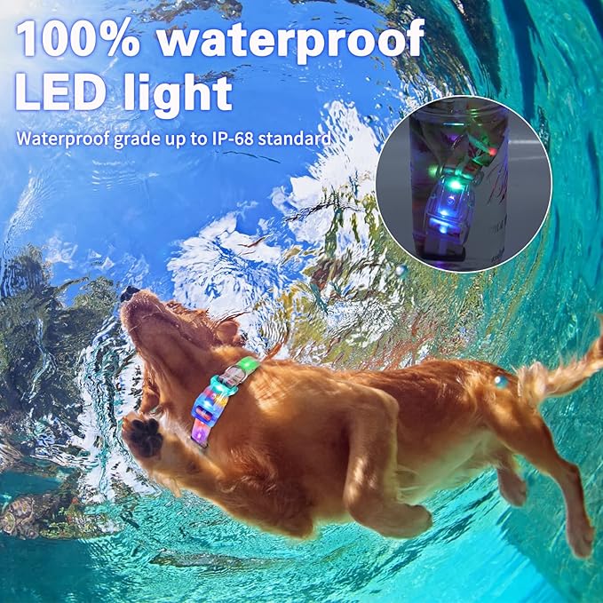 Upgraded Version Light Up Dog Collars,LED Dog Collar Rechargeable Waterproof,2-in-1 Buckle Type Glow Collar for Medium Large Dogs,M(Pink Rose)