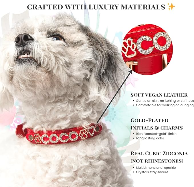 Paws Paws Miami Custom Dog Collar for Large Dogs, Personalized with Name in Gold-Plated Cubic Zirconia Initials and Charm Jewels Leather Collars, Neon Pink