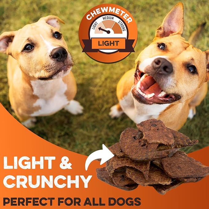 BRUTUS & BARNABY Bison Lung Fillets for Dogs – 100% USA-Sourced Single Ingredient Dog Treat – High Protein, Healthy, All-Natural Dog Chews – Grain-Free, No Additives, (16oz) – Made in The USA