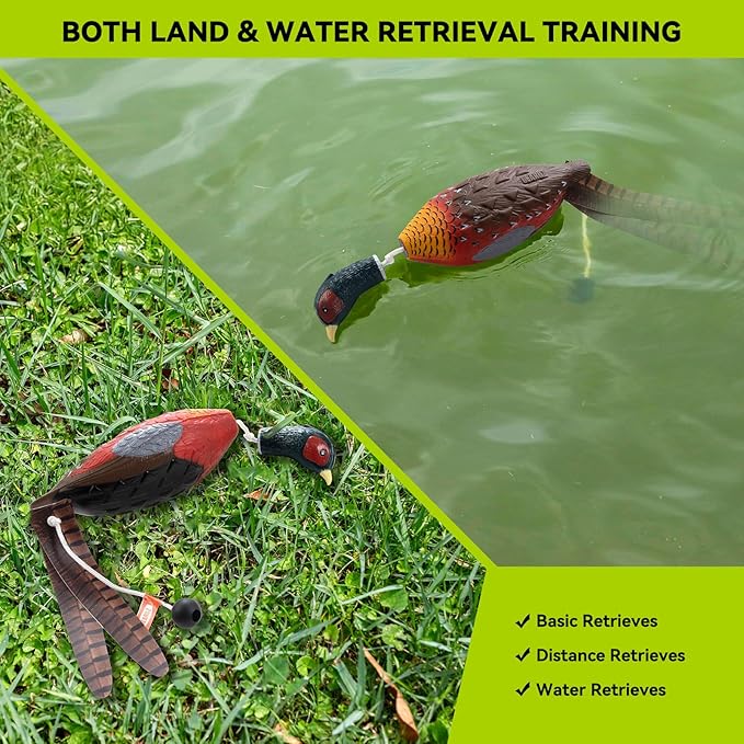 Duck/Pheasant Dummy, Mimics Dead Duck/Pheasant Bumper for Gun Dog Training Scent Waterfowl Hunting Retriever, Outdoor Mallard Retrieval Interactive Train Toys, Floating & Durable