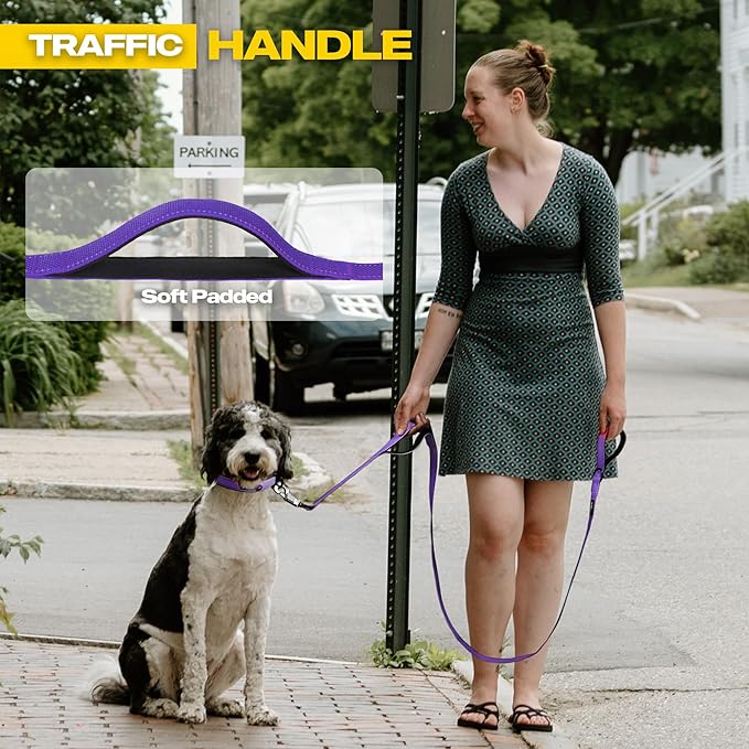Fida 5 FT Heavy Duty Dog Leash with 2 Comfortable Padded Handles, Traffic Handle & Advanced Easy Snap Hook, Reflective Walking Lead for Large, Medium & Small Breed Dogs, Purple