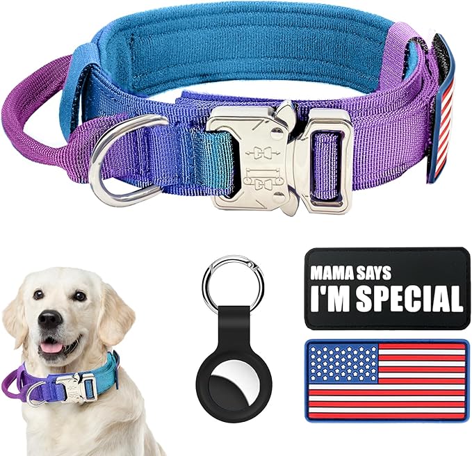 Tactical Nylon Dog Collar - Heavy Duty Metal Buckle with Handle for Dog Training, with Patches (Gradient 1, L)