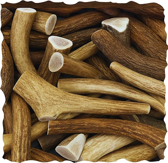 WhiteTail Naturals Premium Whole Elk Antlers for Dogs (1 Pound Pack) Natural Dog Chews | Naturally Shed Antler Horn | 6 to 8 Inch Long | Large and Medium Antler Bone Chew