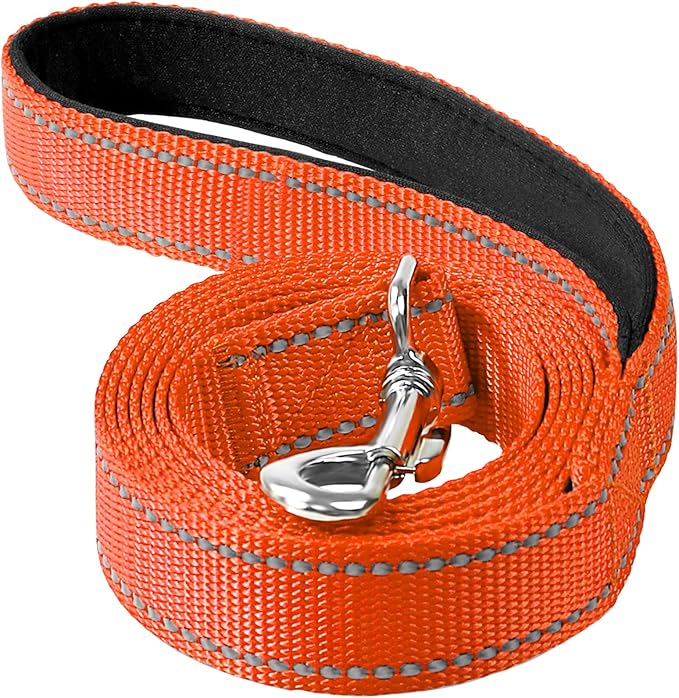 6FT Reflective Nylon Dog Leash with Soft Padded Handle for Walking, Running and Training, Supports Small Medium and Large Dogs (Orange, 1 Inch Wide)