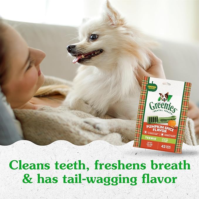 Greenies Regular Dental Dog Treats, Pumpkin Spice, Limited Edition, 12 oz. Pack (12 Treats)