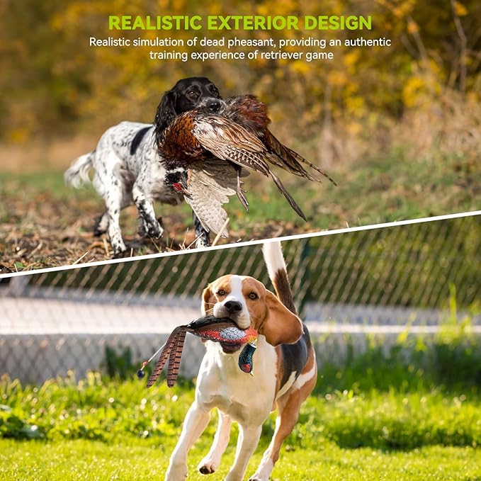 Duck/Pheasant Dummy, Mimics Dead Duck/Pheasant Bumper for Gun Dog Training Scent Waterfowl Hunting Retriever, Outdoor Mallard Retrieval Interactive Train Toys, Floating & Durable