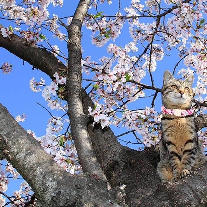 Elegant little tail 2 Pack Cat Collar-Animal Print Cotton Breakaway Cat Collars with Bell Pendant Kitten Boy Girl Safety Adjustable Collar for Small Cats Puppy