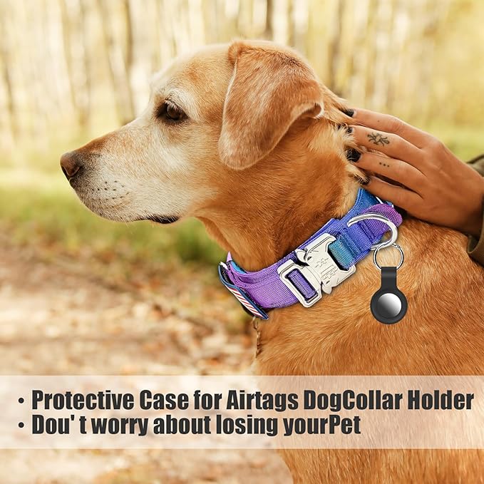 Tactical Nylon Dog Collar - Heavy Duty Metal Buckle with Handle for Dog Training, with Patches (Gradient 1, L)