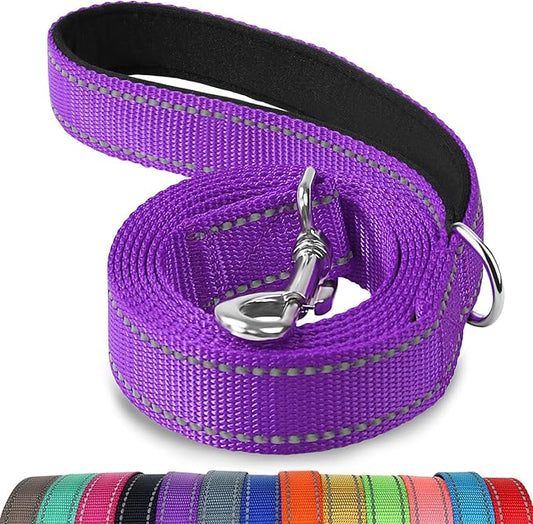 Joytale Double-Sided Reflective Dog Leash, 4 FT, Padded Handle Nylon Heavy Duty Leashes for Small & Medium Dogs Walking, Purple