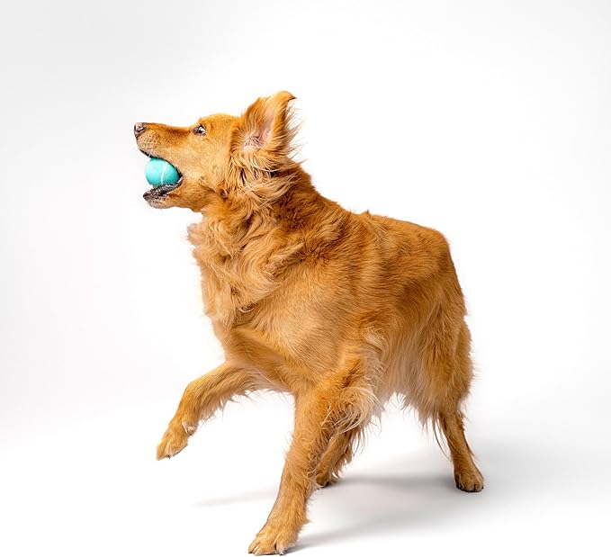 Playology Dog Toys | Squeaky Chew Ball - Bouncy Durable Floating Fetch Ball for Dogs, Value 2-Pack | Medium Peanut Butter Scented Toy - Easy to Clean and Made from Non Toxic Materials