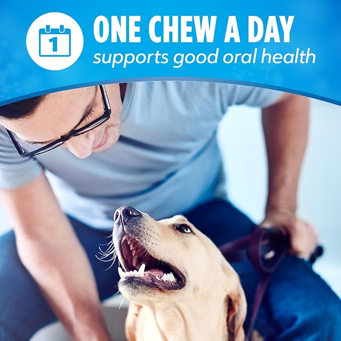 DentaLife Daily Oral Care Dog Treats for Large Dogs, Chewy Dental Treat to Freshen Breath and Fight Tartar, Chicken Flavor - 30 ct. Pouch