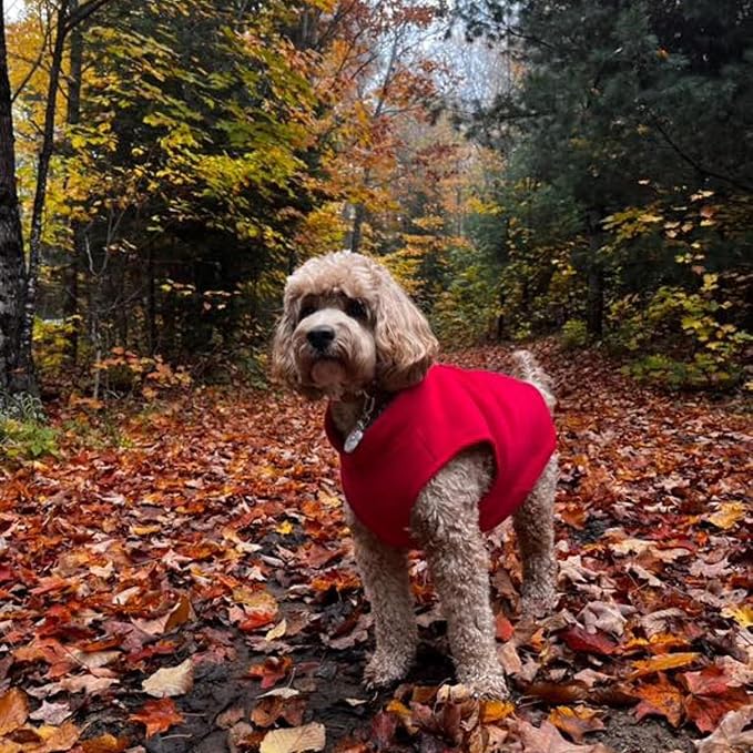 JACKO & CO - Fleece Vest Dog Sweater with Leash Ring - Soft, Warm & Lightweight Pullover Coat for Small & Medium Dogs, Puppies & Cats - Cozy Fall/Winter/Spring Pet Jacket (Red, Small 4-6lbs)