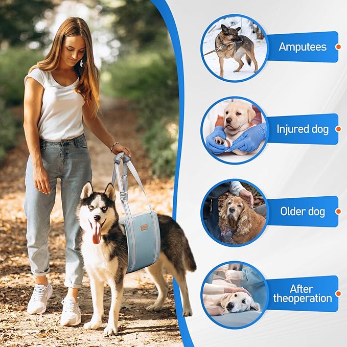 Dog Lift Harness for Large Dogs, Adjustable Dog Sling for Back Legs, Hip Support Harness to Help Lift Dogs Rear for Canine Aid and Old K9 Cruciate Ligament Rehabilitation - Large, Blue