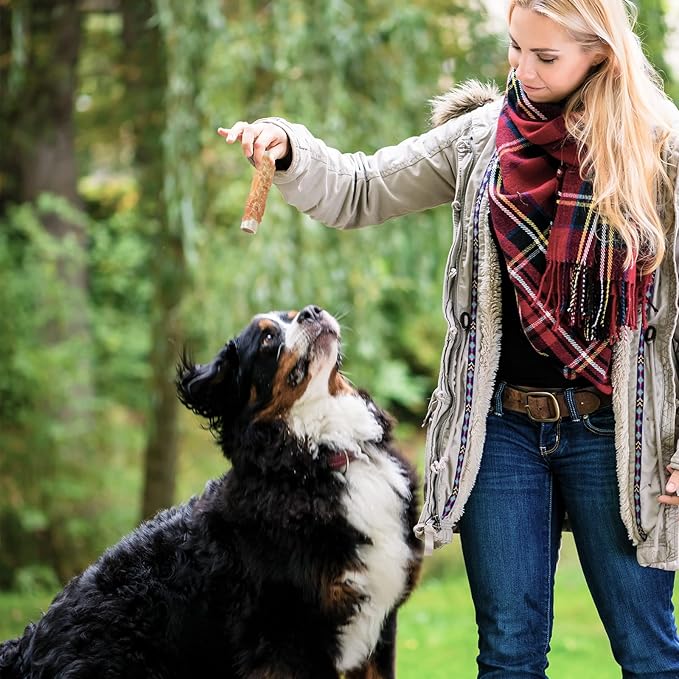 ASMPET Dog Treats Bones, Chicken Wrapped Rawhide Sweet Potato Sticks for Small Medium Large Dogs（6pcs）