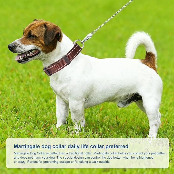 Reflective Martingale Dog Collars. Dog Collar with Quick Release Buckle. Adjustable Soft Padded Breathable Nylon Pet Collar Suitable for Puppies for Small Medium Large Dogs.