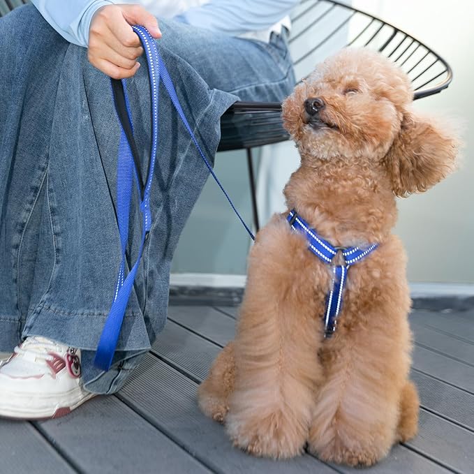 EXCELLENT ELITE SPANKER No Pull Dog Harness Reflective Nylon Vest L-Shaped Adjustable Easy Pet Harness for Small Medium Large Breeds Dogs Walking Training Black Red(Pink-M)