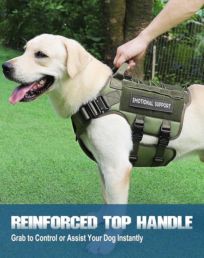 PETNANNY Tactical Service Dog Vest - No-Pull Emotional Support Harness with Hook & Loop Patches & Molle System for Training & Hunting (Green, X-Large)