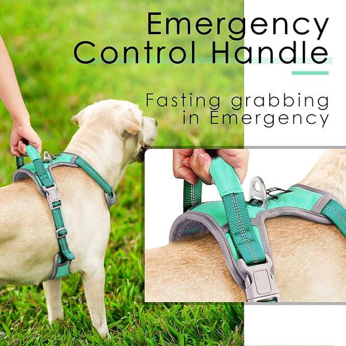 ThinkPet No Pull Harness Breathable Sport Vest with Handle-Dog Harnesses Reflective Adjustable for Medium Large Dogs