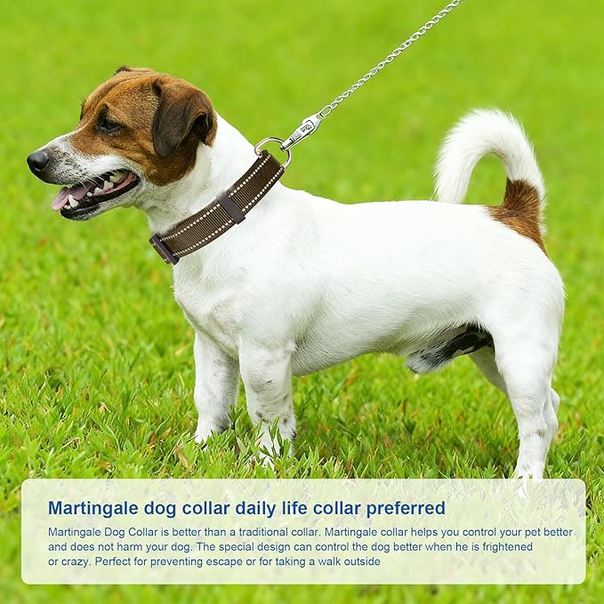 Reflective Martingale Dog Collars. Dog Collar with Quick Release Buckle. Adjustable Soft Padded Breathable Nylon Pet Collar Suitable for Puppies for Small Medium Large Dogs.