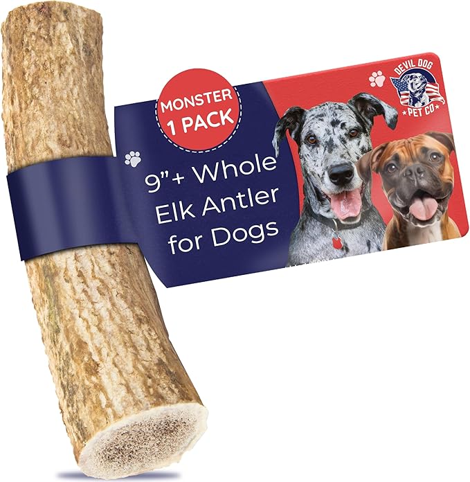 Devil Dog Pet Co. Elk Antlers for Dogs, Monster 9"+, 1 Pack, Grade A Long Lasting Chew for Aggressive Chewers, Premium USA Naturally Shed Antler – Healthy, No Odor, Durable Dog Chew