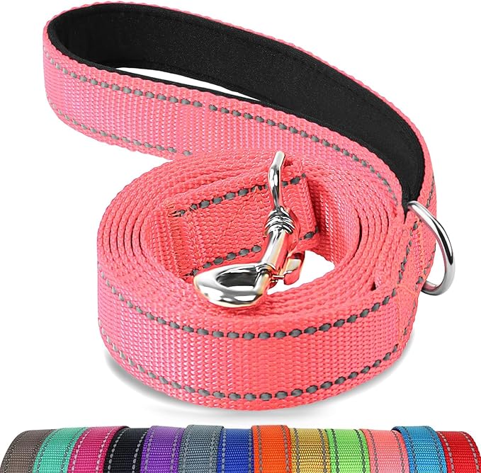 Joytale Double-Sided Reflective Dog Leash, 6 FT/5 FT/4 FT, Padded Handle Nylon Heavy Duty Leashes for Small & Medium Dogs Walking, Neon Pink, 5FT