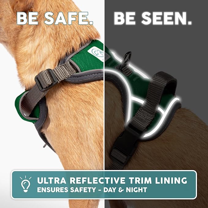 Embark Adventure Dog Harness, Reflective Trim No Pull Dog Harness for Large Dogs - Military Grade Nylon, Front Clip with Gel Lined Handle.