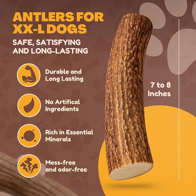 WhiteTail Naturals | Deer Antlers for Extra Large Dogs - (Jumbo-XXL) - Naturally Shed, Long Lasting Chew Bone for Aggressive Chewers