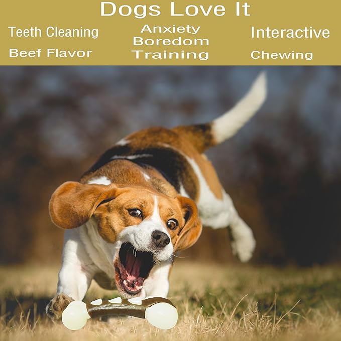 Dog Bones Chew Toys for Aggressive Chewers, 2 Pack Real Beef Flavor,Indestructible Dog Teething Chew Toys for Large/Medium/Small Puppies Breed,Tough Pet Toy with Nylon