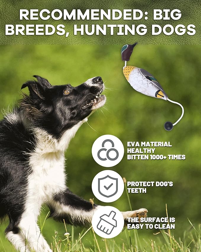 Duck Dummy Bumper Toys for Hunting Retriever Dog Training, Training Dummy with Floating and Tear-Resistant Design for Water and Land Retrieval Training