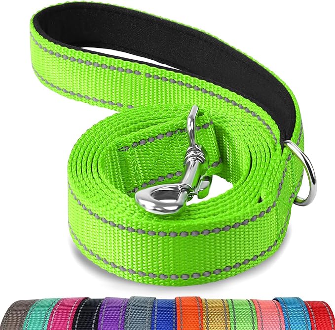 Joytale Double-Sided Reflective Dog Leash, 6 FT/5 FT/4 FT, Padded Handle Nylon Heavy Duty Leashes for Medium & Large Dogs Walking, Green, 5FT